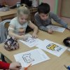 zsrakoszyce - Eksperci programowania