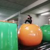 img_20191011_110315